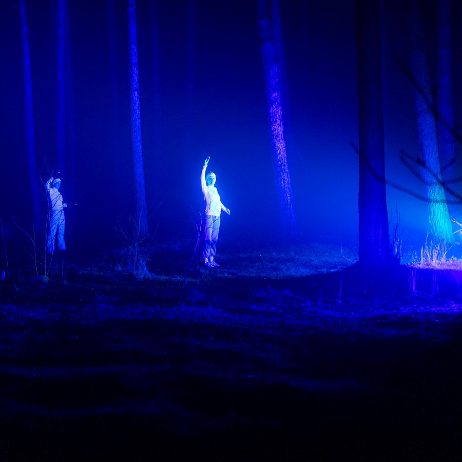 Dans het bos