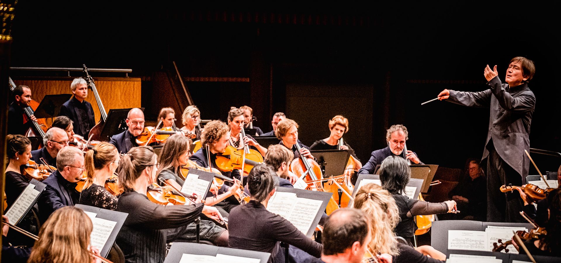 DE CONCERTVERENIGING - Brussels Philharmonic