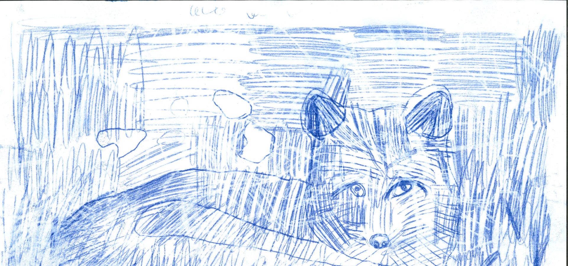 VOS