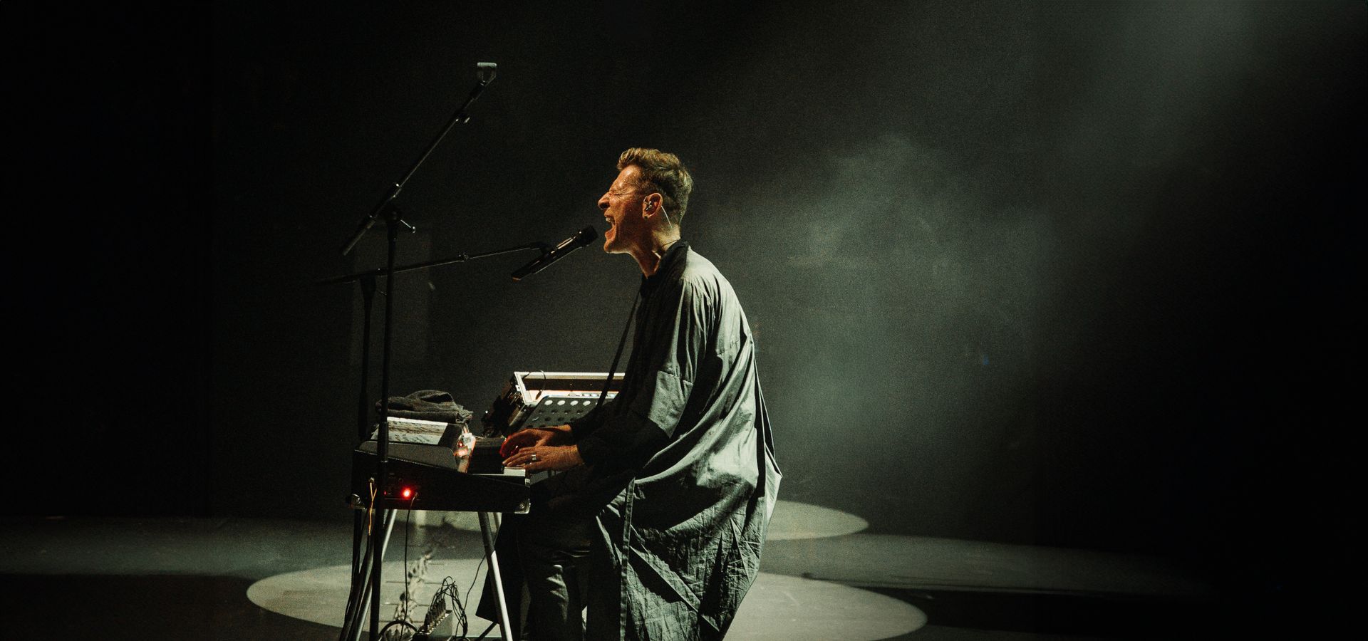 Ozark Henry