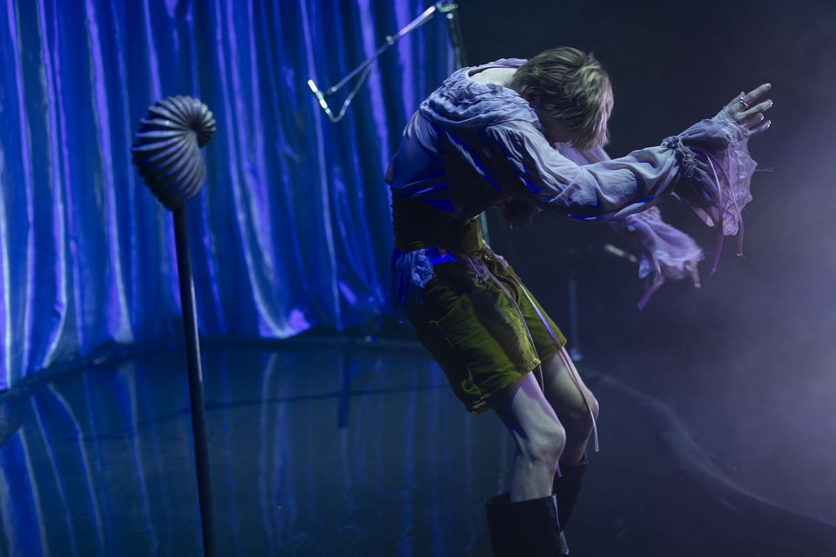 scenebeeld Wild Narcissus
