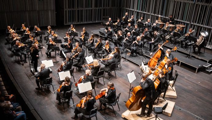 Symfonieorkest Vlaanderen - de Concertvereniging
