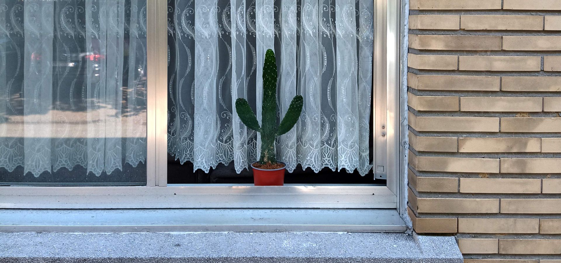 dit lijkt een beetje op een cactus - Bad van Marie & Zwerm