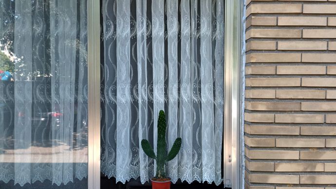dit lijkt een beetje op een cactus - Bad van Marie & Zwerm