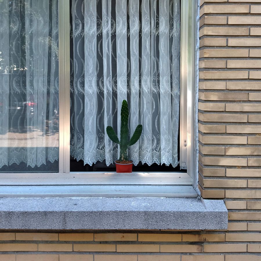 dit lijkt een beetje op een cactus - Bad van Marie & Zwerm
