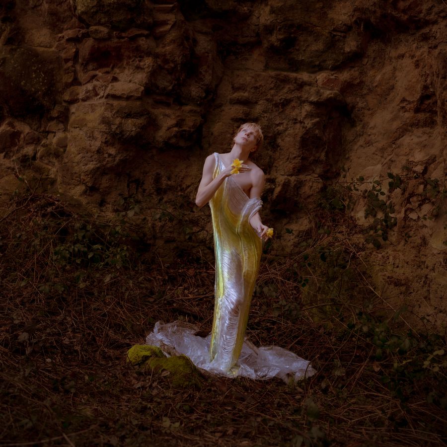 PROD 2627 Bavo Buys - Wild Narcissus