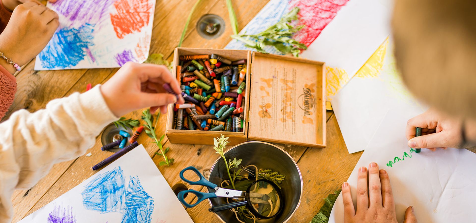 Promobeeld : Kunst in Zicht - Plantartica