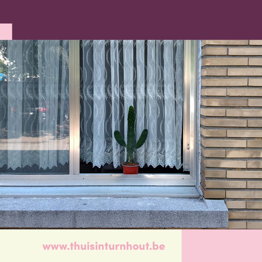dit lijkt een beetje op een cactus - Bad van Marie & Zwerm