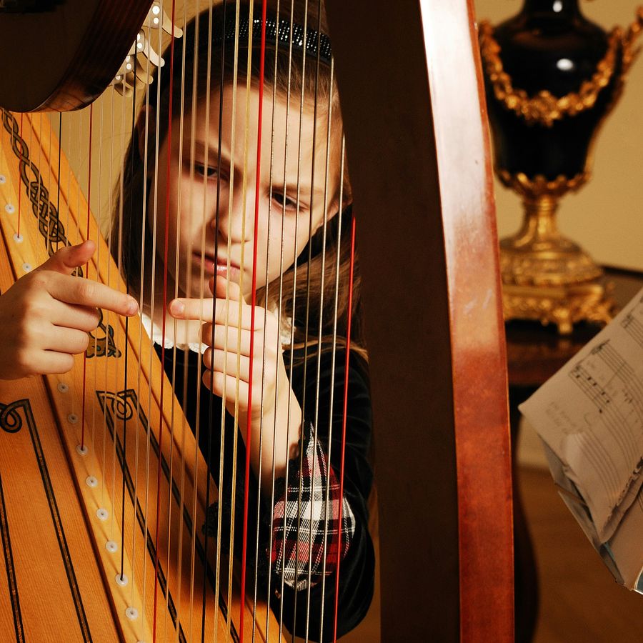 Tederheid in klassieke muziek - An Willems / DINAMO
