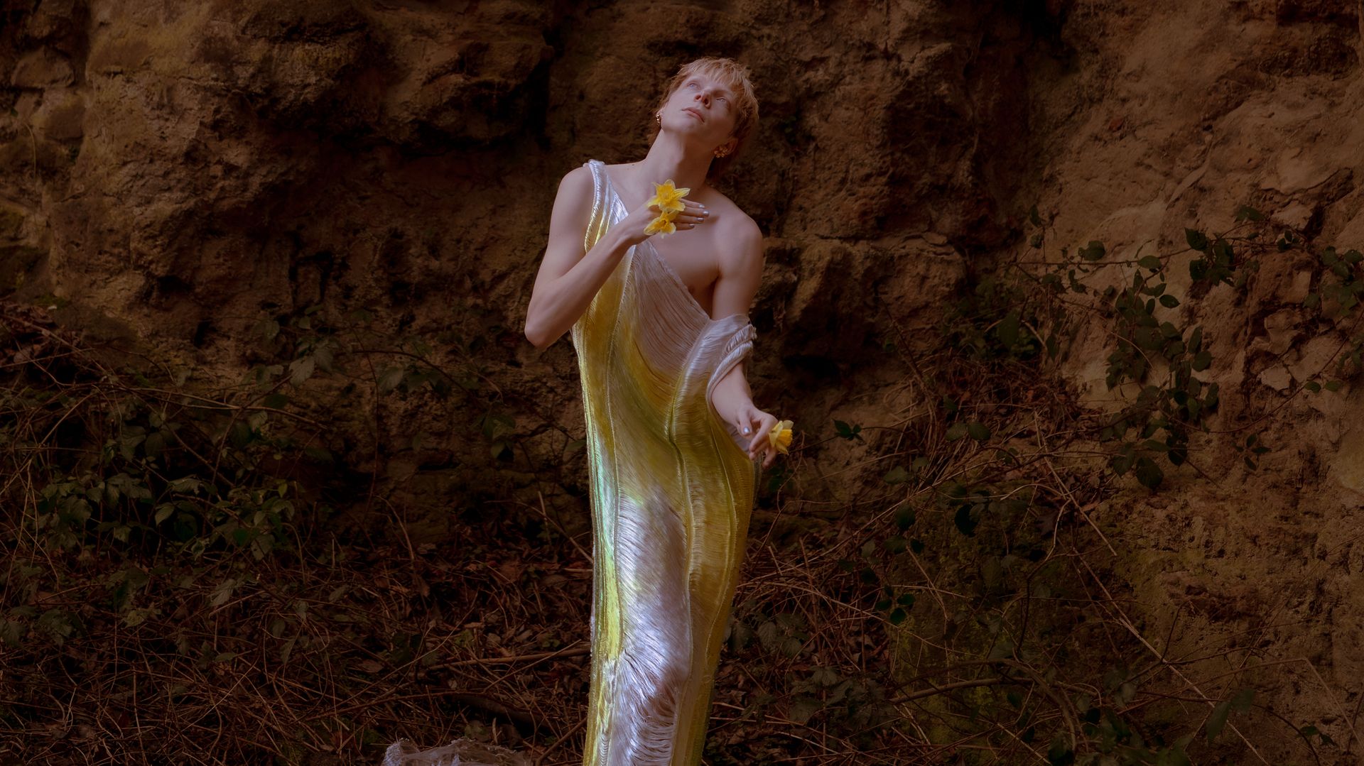 promobeeld Wild Narcissus