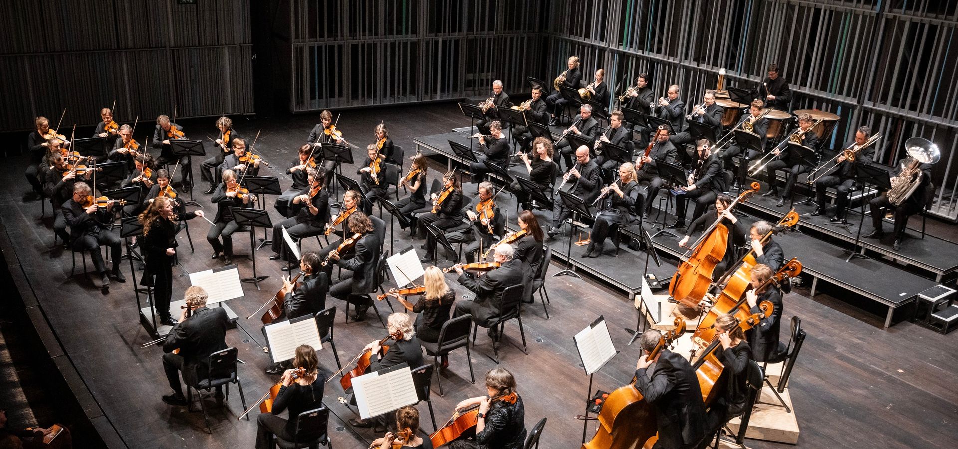 Symfonieorkest Vlaanderen - de Concertvereniging